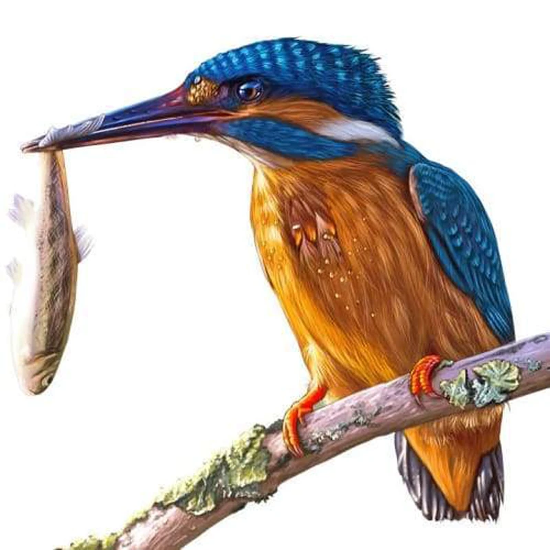 GLymg Diy Bright Rhinestones Embroidery 5D Diamond Stitch Painting Craft Dinner For Birds Art Wall Decor | Дом и сад