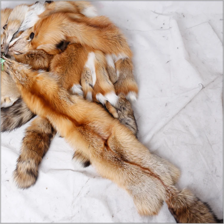 soft tan Tanned Red Fox pelt TN-notail great value 