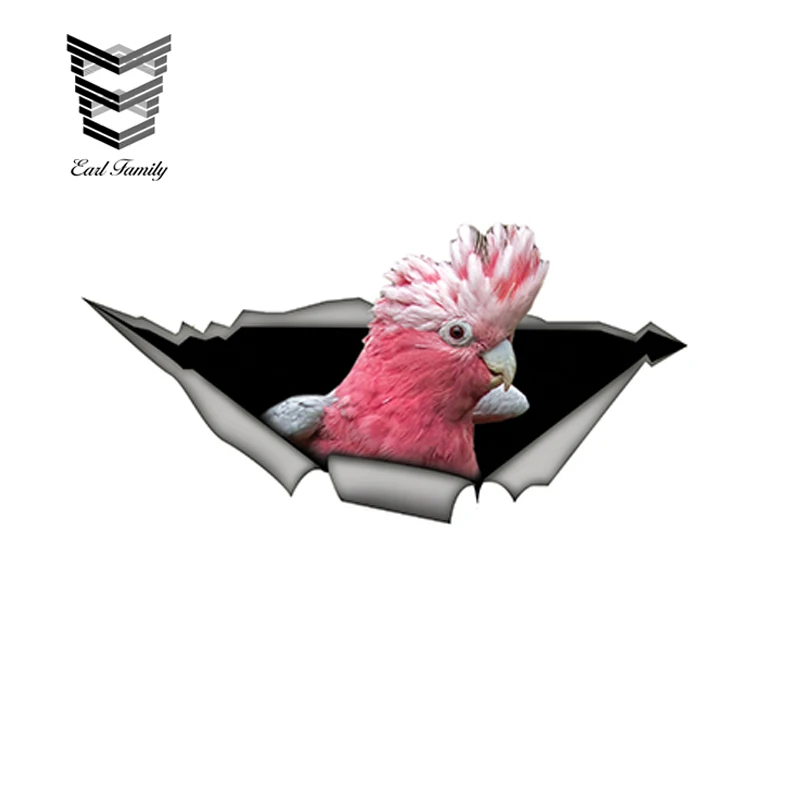 

EARLFAMILY 15cm x 6cm Galah Cockatoo Car Stickers Funny Parrot Decal Waterproof Car Styling Bird Stickers Decoration
