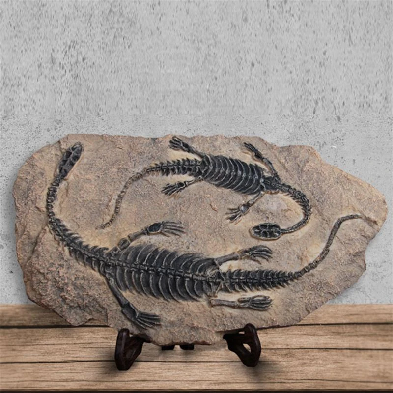 recine el sanatlari simulasyon dinozor fosil yaratici el yapimi ev dekor jurassic park ozel muze el sanatlari siradisi decation decat aliexpress