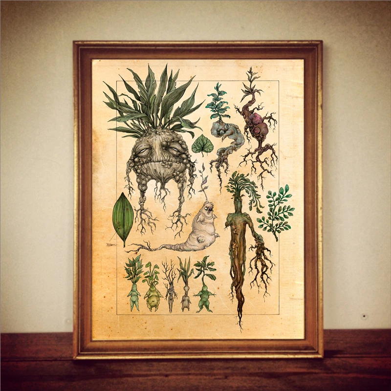 Mandrake Poster