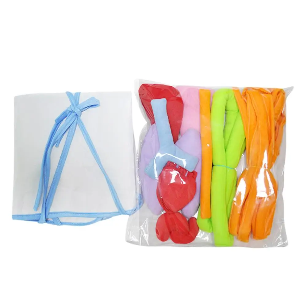 Educational Insights Toys For Children Anatomy Apron Human Body Organs Awareness Preschool Science  - 33042240318