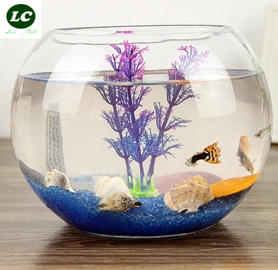 AQUARIUM FISH TANK AQUARIUM clear glass for your desk decor mini Round ...