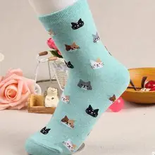 100 пар/лот Federal Express быстро Европейский Стиль Женские повседневные хлопковые зимние носки с героями мультфильмов, с изображением животных, котов Носки