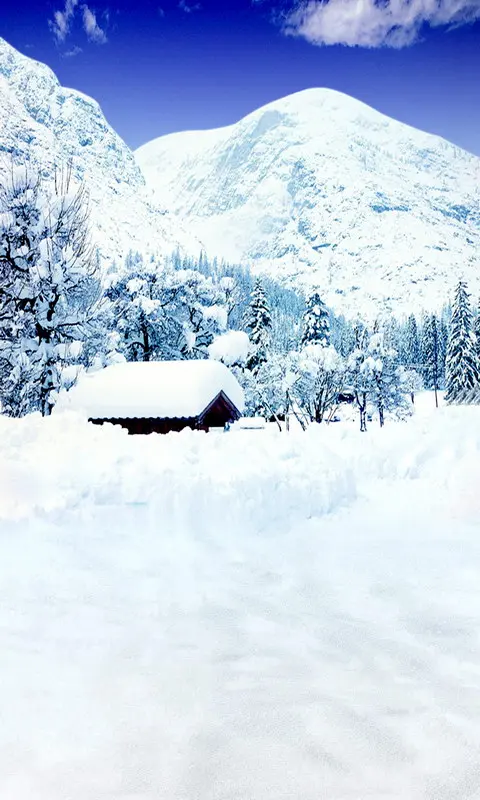 

2X3m  thin vinyl photography  backgrounds Computer Printed Snow house  Photography backdrops for Photo studio