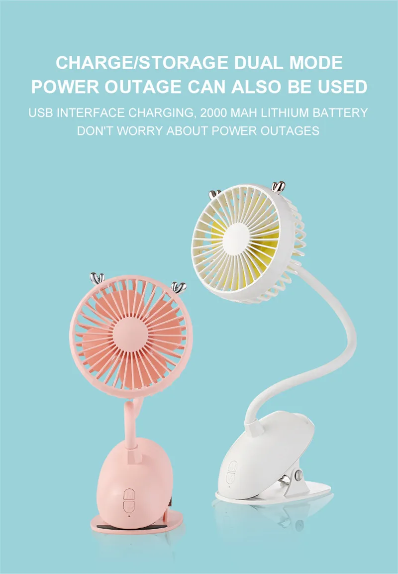 fan19
