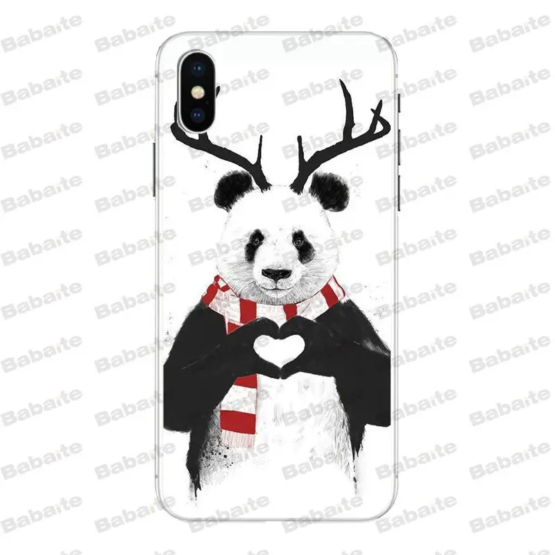Cool panda