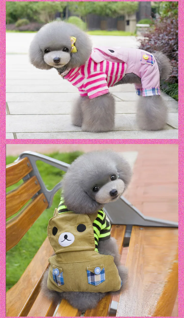  dog clothing 22