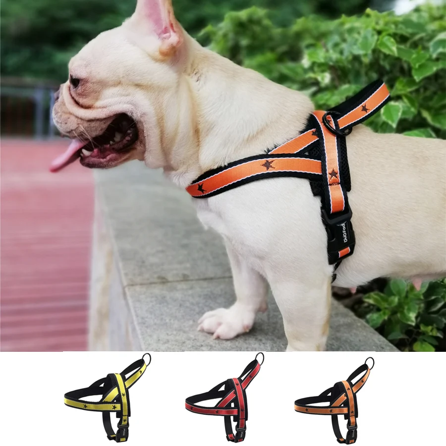 dog harness easy