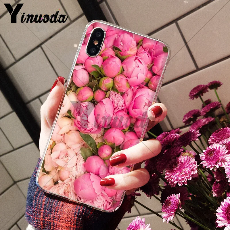 Flower Pink Peonies Peony