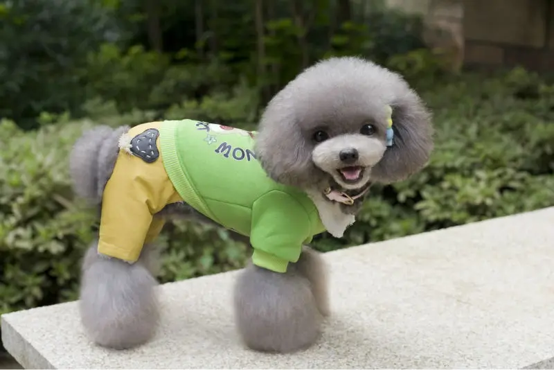Y015 Cute Pet dog Winter Cotton clothes X-Christmas Wapiti mi-lu pattern Warm Pet dogs 4 legs Hoodies Jumpsuits for dogs Overall Cotton clothes (10)