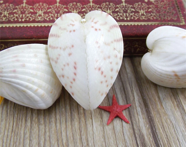 

2-4cm Natural Love Heart Shaped Conch Lovers Sea Shell Valentine's Day Gift Home Wedding Decoration Gift