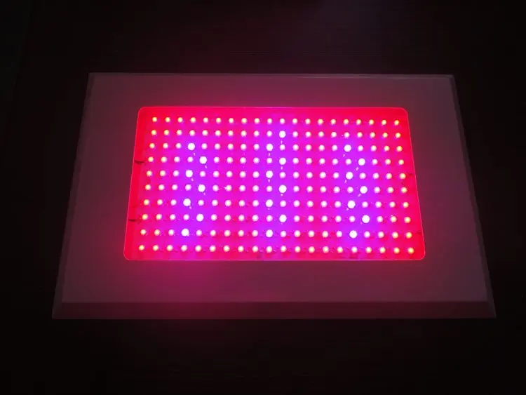 Good 200W LED grow light red and blue 81 red 660 630 blue 450 470nmin
