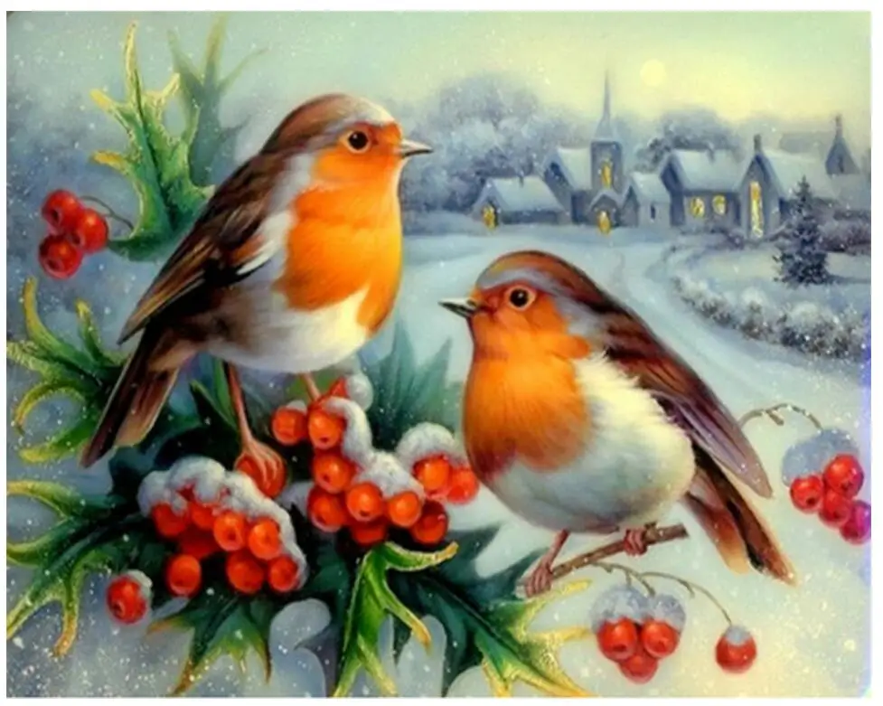 Алмазные вышитые птицы 5d diy алмазная живопись полный пейзаж vogels алмазная живопись полный квадратный Стразы коробка Санта черепаха