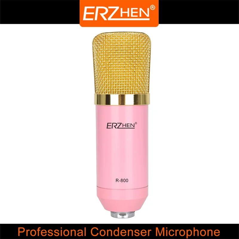 Professional Dynamic Microphone R 800 High Quality Dynamic Microphone Recording Microphonein
