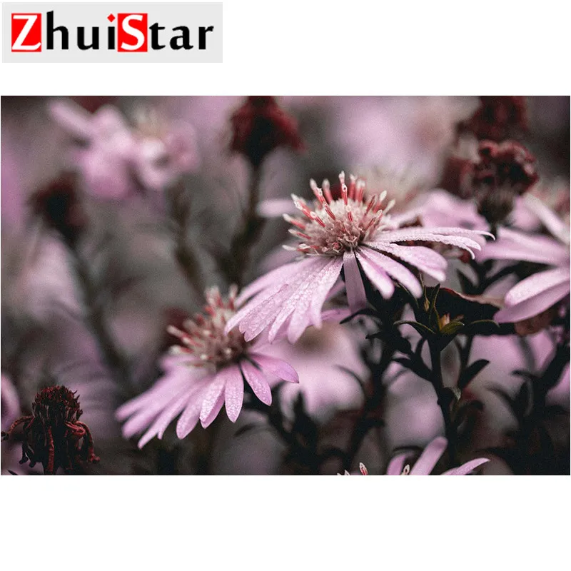 flower-765488_960_720