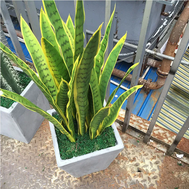 Искусственное суккулентное растение Agave пустынные растения Sansevieria Trifasciata Prain домашний офис Декор Искусственный Бонсай тропические листья