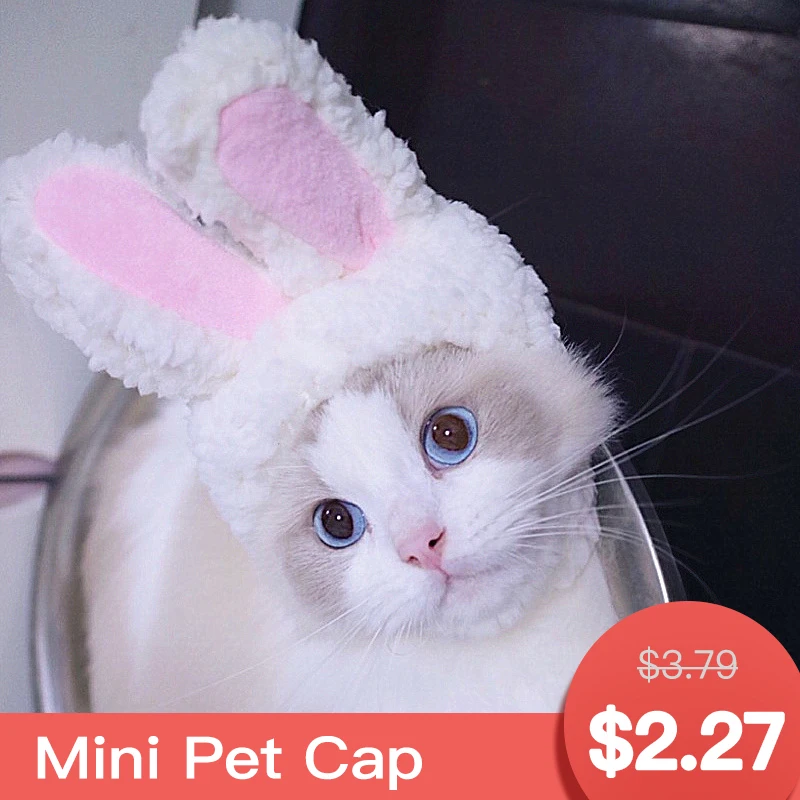 

1pc Pet Dog Cat hat cat helmet cat sombrero hats for cats pet helmet mini sombrero puppy hat pet cap party hat for pet gorro gat