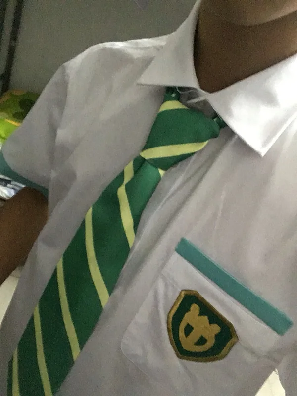 

Your Name Tachibana Taki Anime Green Striped Cosplay Neck Tie