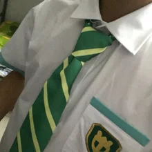 Ваше имя Татибана таки Аниме зеленый полосатый Косплэй Средства ухода за кожей Шеи Галстук