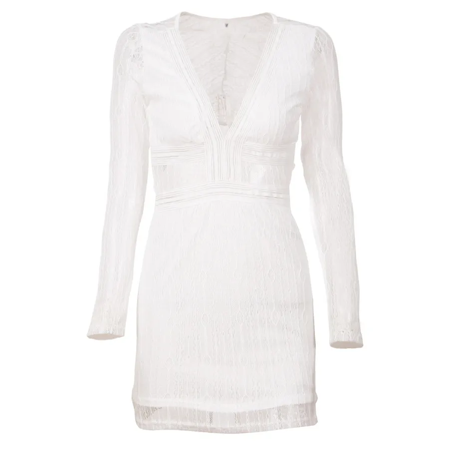 Gladiolus Lace Spring Autumn Dress Women 2019 Long Sleeve Deep V-Neck Hollow Out Mini Women Party Dress Ladies Sexy Club Dresses (22)