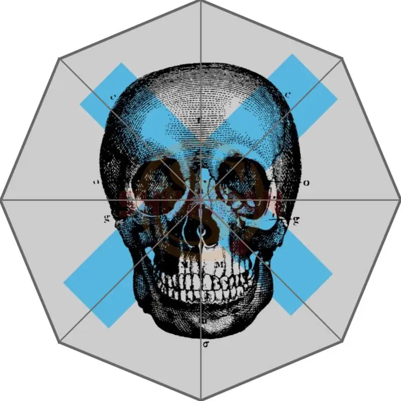 Персонализированный крутой арт череп на Пламенном Авто складной зонтик - Цвет: Многоцветный