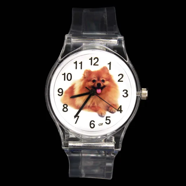 Pomeranian Pet Dog Puppy Animal Kids Children Quartz Watch Baby Boy Girl Sport T Pomeranian Pet Dog Puppy Animal Kids Children Quartz Watch Baby Boy Girl Sport T