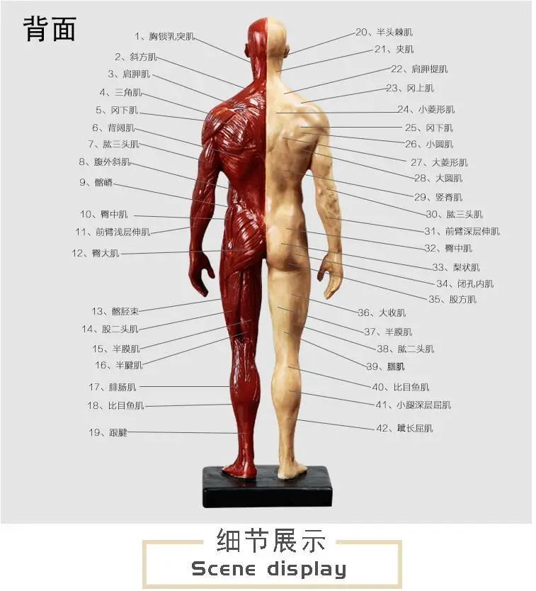 QQ20180706154324