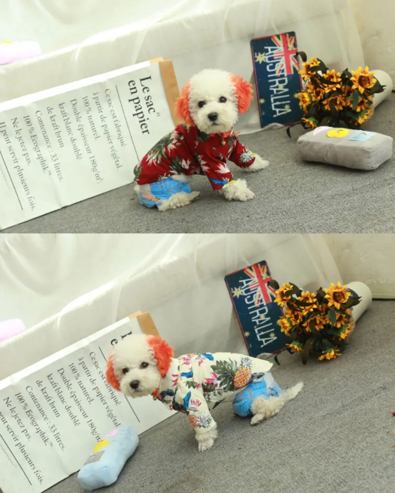dog jackets outdoor