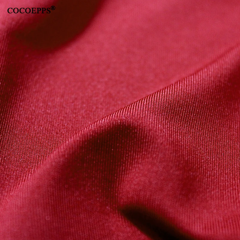 COCOEPPS13
