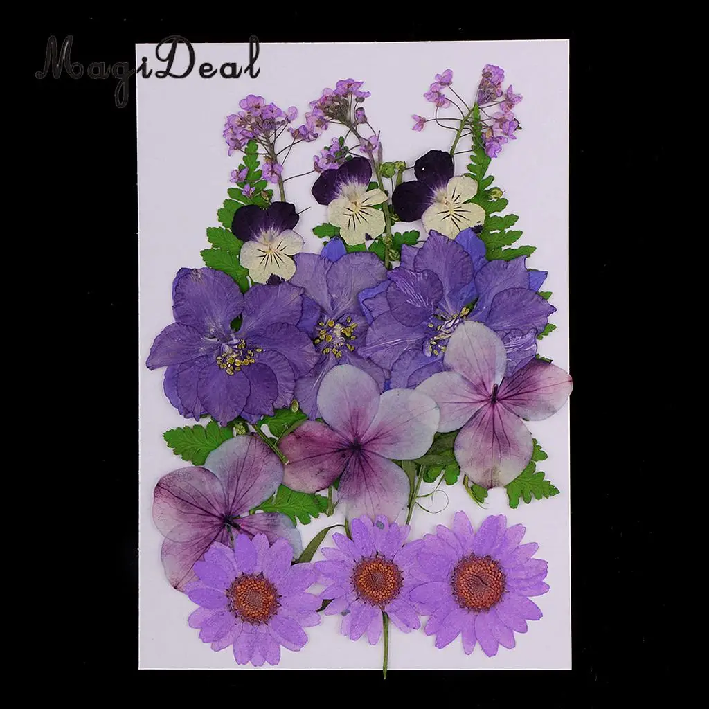 6 Kinds of Pressed Dried Flower Real Dried Flower Plant Specimen Filler for Scrapbooking Card, Art Crafts, Epoxy Resin Jewelry