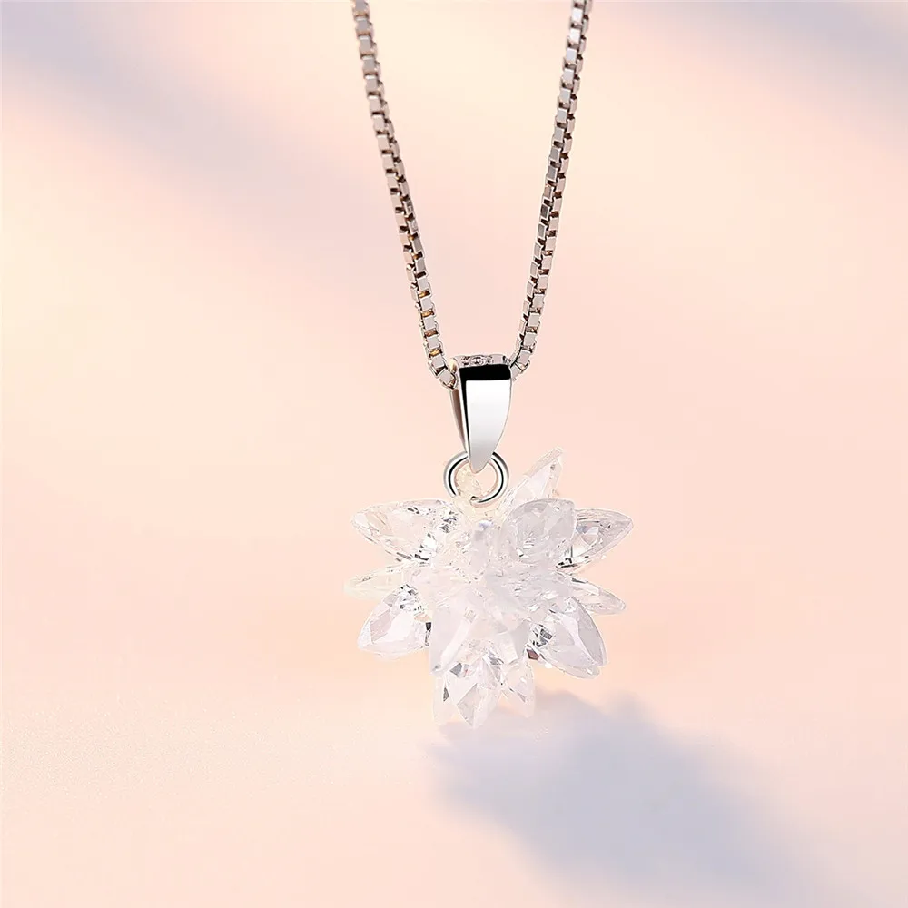 aaa