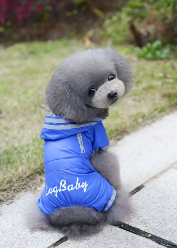 Y67_2017_New_Pet_Dog_Raincoat_Jacket_Clothes_Cute_Puppy_Dogs_Cats_Waterproof_4_legs_Jumpsuit_Rainwear_Teddy_dog_Slicker_ (7)