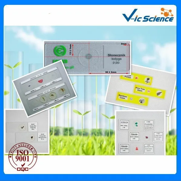 91 предмет обучающий готовый препарат для микроскопа набор для старшеклассников