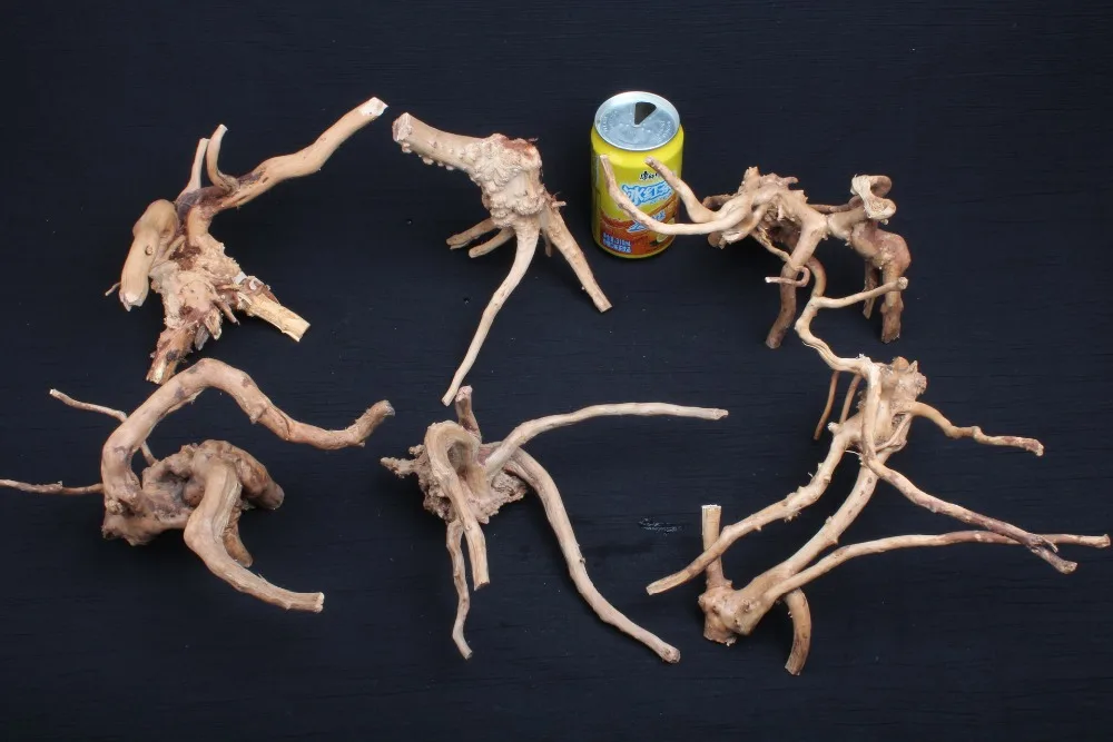 2366139808_1862565162