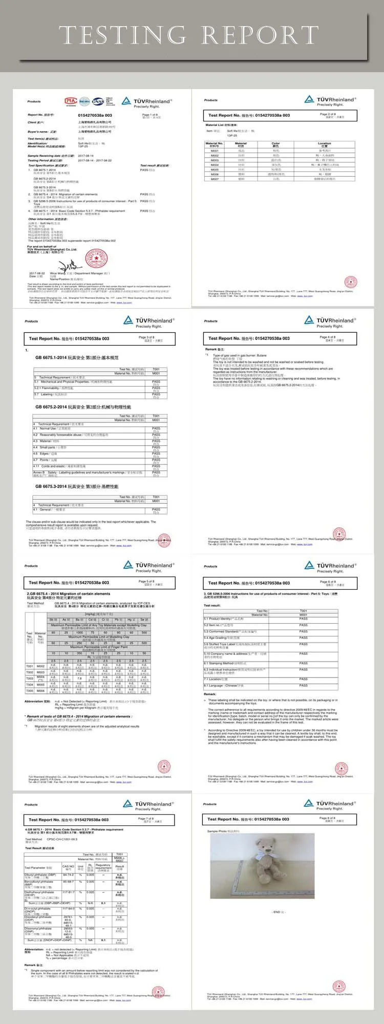 test report