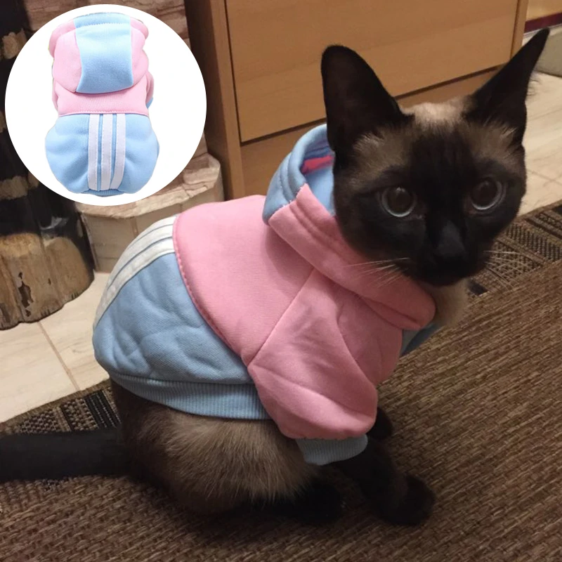 Outfits for cats Clearance