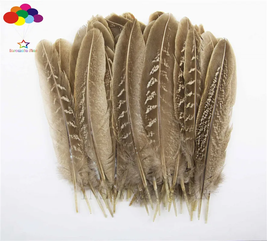 Diy Natural Rare Pheasant Feather Tail 10-16inch//25-40cm 10 Pcs Carnival Costume