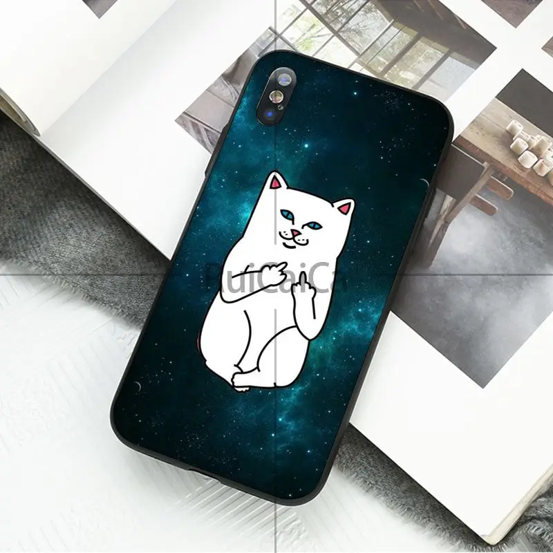 Art middle finger cat