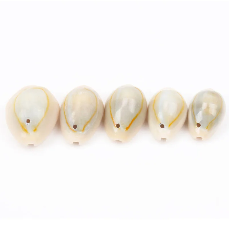 Spiral Shell SeaShells Conch for DIY handmade Home decoration jewelry making 10-25mm 20pcs