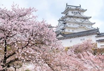 

HUAYI himeji castle cherry blossom season Photography backgrounds Digital Printed Professional Portrait Studio Photo XT-6583