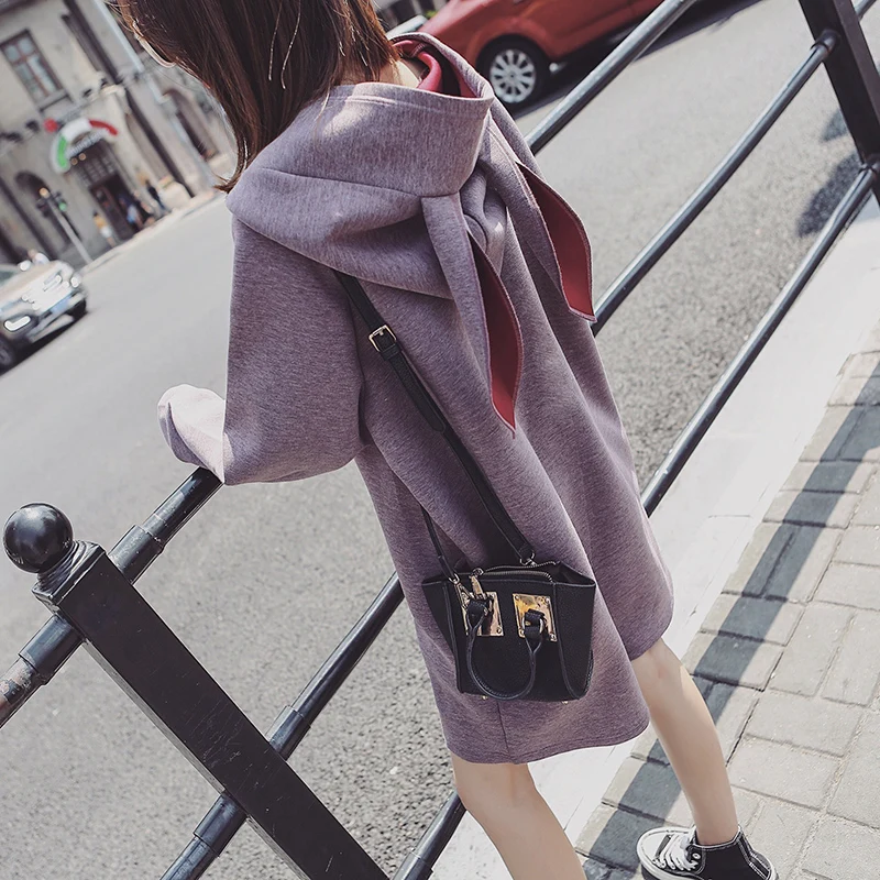 

Autumn Winter Dress for Women Clothes Kawaii Thick Warm Dress 2019 Hooded Ladies Casual Dresses Cute Vestidos YY251