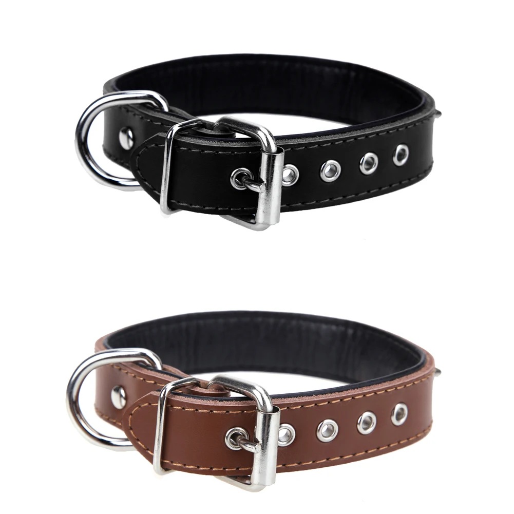 Dog Collar Rivets Dog Collar Rivets