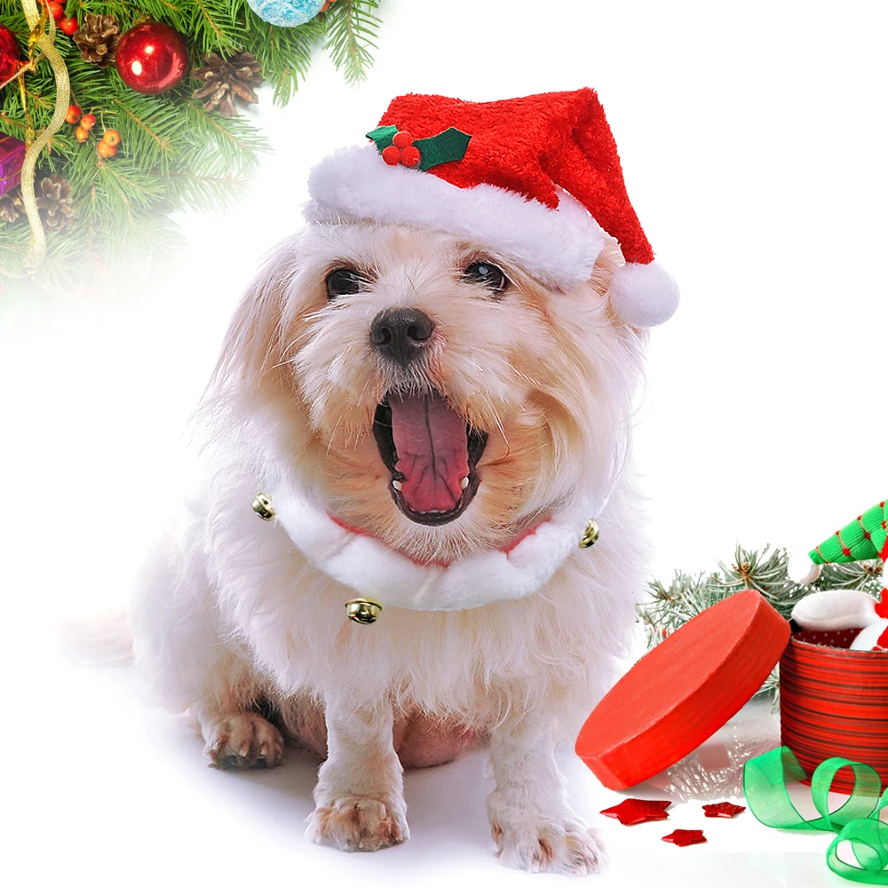 Рождественский комплект для собак: шапка и ошейник, костюм для собак, шапка Санта Клауса, ожерелье с колокольчиком, товары для домашних животных, украшение для рождественского фестиваля