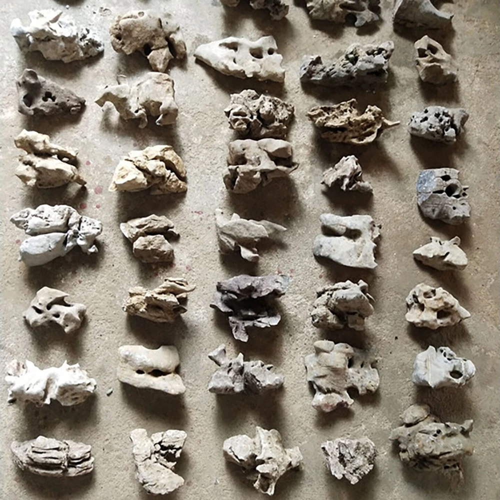 TB2FODRsJcnBKNjSZR0XXcFqFXa_!!2441056576