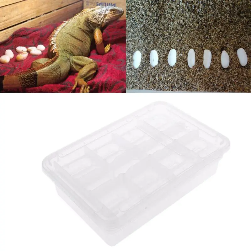 

Reptile Incubator Breeding Box Eggs Tray Gecko Chameleon Dedicated Hatchery Box Hatching Tool