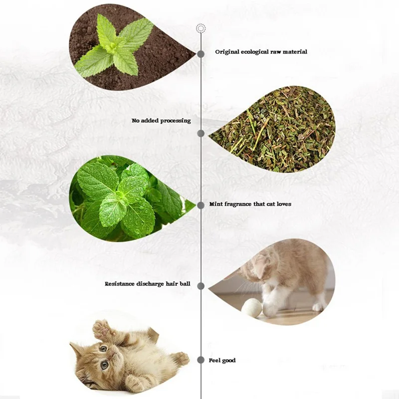 Pet Cats Catnip Treat Kitten Cat Remove Hair Ball Care Gastrointestinal Catnip 20g/280ml