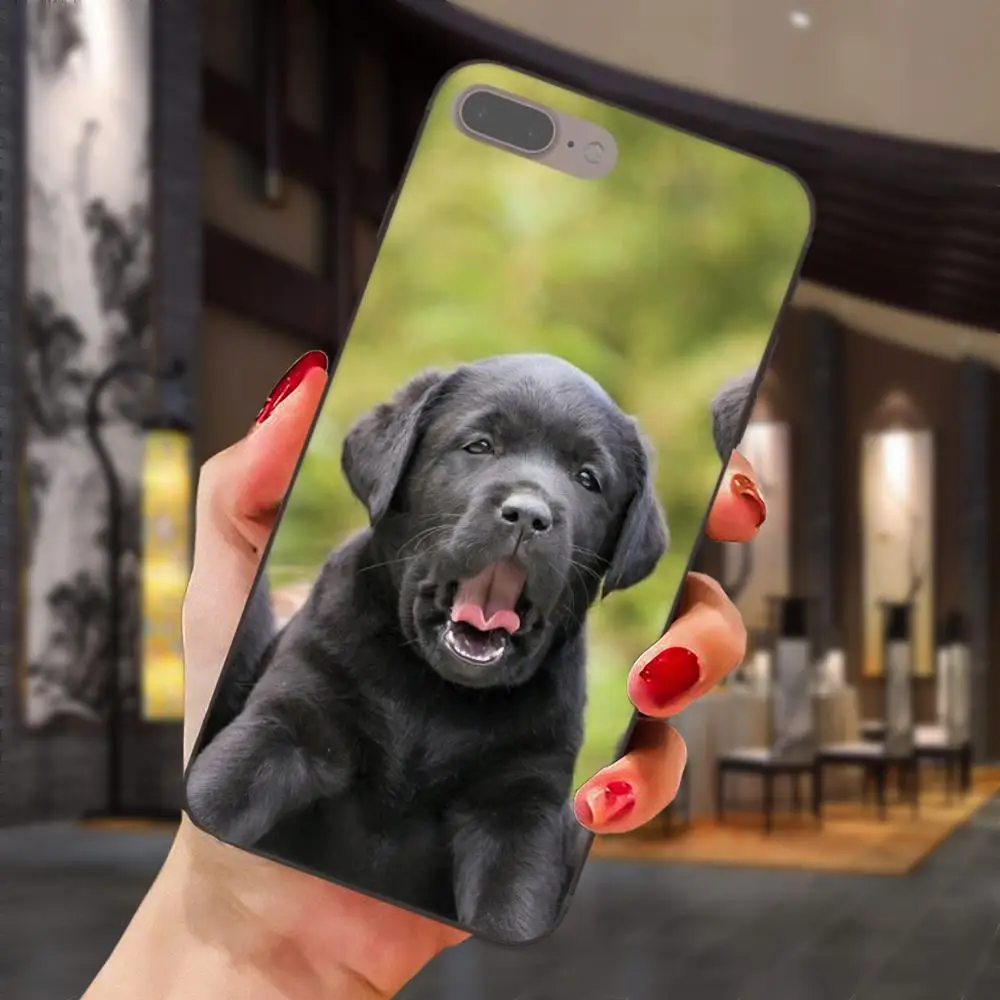 Черный чехол для телефона с рисунком щенков Лабрадора Xiaomi Mi Mix Max Note 2 2S 3 5X 6 6X 8 9 SE A1