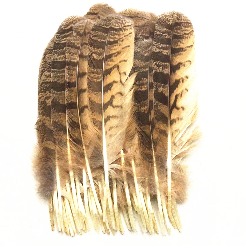 

10pcs Rare Owl Eagle Feather 10-12inch/25-30cm Eagle Feathers for Crafts Jewelry Making Wedding Decoration Various Plumas Plumes