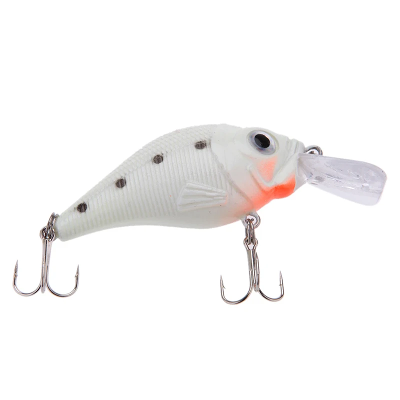 Buy 5pcs/set Night Luminous Fishing Lure Bait Kit Glow